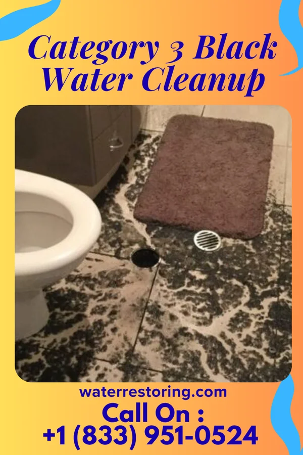 Category 3 Black Water Cleanup in Shillington, PA