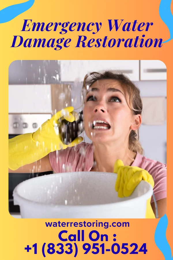 Emergency Water Damage Restoration in Shillington, PA