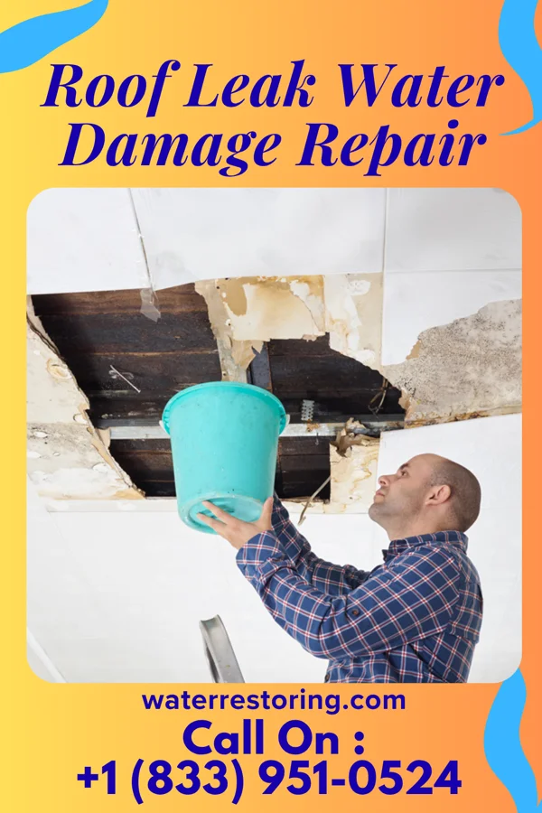 Roof Leak Water Damage Repair in Shillington, PA