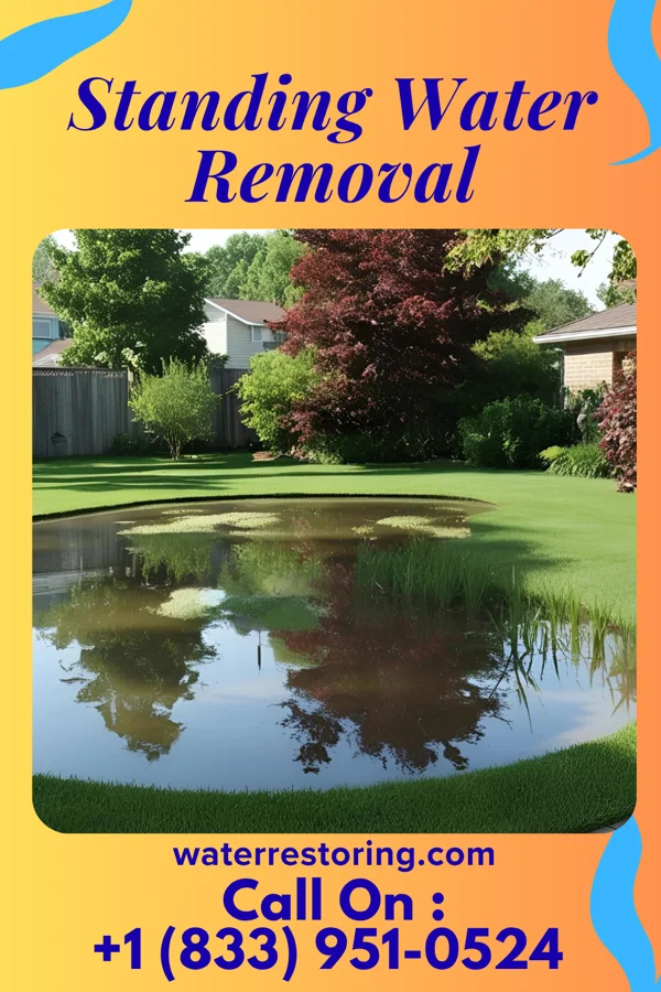 Standing Water Removal in Shillington, PA